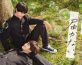 田鸡影院免费观看电视剧大全