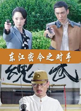 虾皮视频去广告纯净版